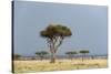 A Rainstorm Approaching in the Masai Mara Plains, Kenya-Sergio Pitamitz-Stretched Canvas