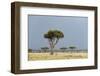 A Rainstorm Approaching in the Masai Mara Plains, Kenya-Sergio Pitamitz-Framed Photographic Print