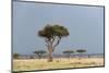 A Rainstorm Approaching in the Masai Mara Plains, Kenya-Sergio Pitamitz-Mounted Photographic Print