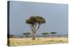 A Rainstorm Approaching in the Masai Mara Plains, Kenya-Sergio Pitamitz-Stretched Canvas