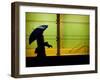 A Rainy Night in the City-Sharon Wish-Framed Photographic Print