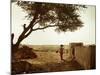 A Rajasthani Woman Carries Her Things on Her Head in a Small Village in Western Rajasthan-D. Scott Clark-Mounted Photographic Print