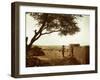 A Rajasthani Woman Carries Her Things on Her Head in a Small Village in Western Rajasthan-D. Scott Clark-Framed Photographic Print