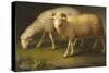 A Ram and a Sheep-Johan Wenzel Peter-Stretched Canvas