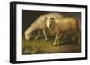 A Ram and a Sheep-Johan Wenzel Peter-Framed Giclee Print