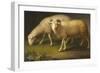 A Ram and a Sheep-Johan Wenzel Peter-Framed Giclee Print