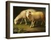 A Ram and Sheep-Johan Wenzel Peter-Framed Giclee Print