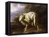 A Ram in a Wooded Landscape-Jan Baptist Weenix-Framed Stretched Canvas