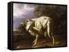 A Ram in a Wooded Landscape-Jan Baptist Weenix-Framed Stretched Canvas