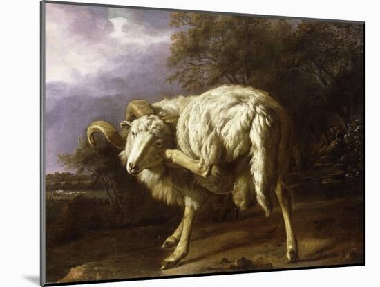 A Ram in a Wooded Landscape-Jan Baptist Weenix-Mounted Giclee Print