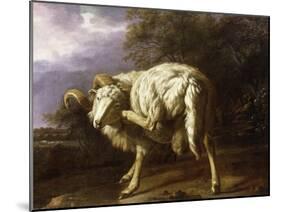 A Ram in a Wooded Landscape-Jan Baptist Weenix-Mounted Giclee Print