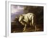 A Ram in a Wooded Landscape-Jan Baptist Weenix-Framed Giclee Print