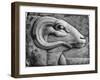 A Ram's Head, Egypt, 1936-null-Framed Giclee Print