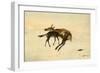 A Random Shot-Edwin Landseer-Framed Giclee Print