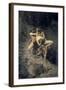 A Rape in the Stone Age, 1888-Paul Joseph Jamin-Framed Giclee Print