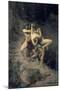 A Rape in the Stone Age, 1888-Paul Joseph Jamin-Mounted Giclee Print