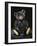 A Rare Black Steiff Teddy Bear with Rich Black Curly Mohair, circa 1912-Steiff-Framed Giclee Print