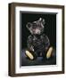 A Rare Black Steiff Teddy Bear with Rich Black Curly Mohair, circa 1912-Steiff-Framed Giclee Print