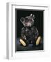 A Rare Black Steiff Teddy Bear with Rich Black Curly Mohair, circa 1912-Steiff-Framed Giclee Print