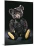 A Rare Black Steiff Teddy Bear with Rich Black Curly Mohair, circa 1912-Steiff-Mounted Giclee Print