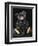 A Rare Black Steiff Teddy Bear with Rich Black Curly Mohair, circa 1912-Steiff-Framed Giclee Print