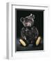 A Rare Black Steiff Teddy Bear with Rich Black Curly Mohair, circa 1912-Steiff-Framed Giclee Print