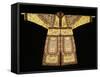 A Rare Embroidered Imperial Yellow Ground Theatrical Costume-null-Framed Stretched Canvas