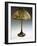 A Rare 'Pebble' Leaded Glass, Stone and Bronze Table Lamp-Guiseppe Barovier-Framed Giclee Print