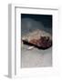 A Rare Rough Back Walking Batfish (Ogcocephalus Parvas) That Usually Lives at Depth to 300M-Lisa Collins-Framed Photographic Print