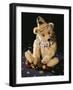 A Rare Steiff "Teddy Clown" Bear, circa 1926-Steiff-Framed Giclee Print