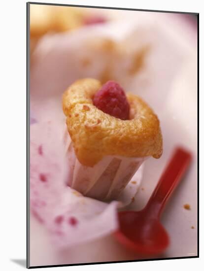 A Raspberry Bun-Jérôme Bilic-Mounted Photographic Print