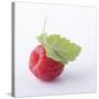 A Raspberry with Leaf (Close-Up)-Steven Wheeler-Stretched Canvas