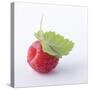 A Raspberry with Leaf (Close-Up)-Steven Wheeler-Stretched Canvas