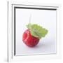 A Raspberry with Leaf (Close-Up)-Steven Wheeler-Framed Photographic Print