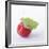 A Raspberry with Leaf (Close-Up)-Steven Wheeler-Framed Photographic Print