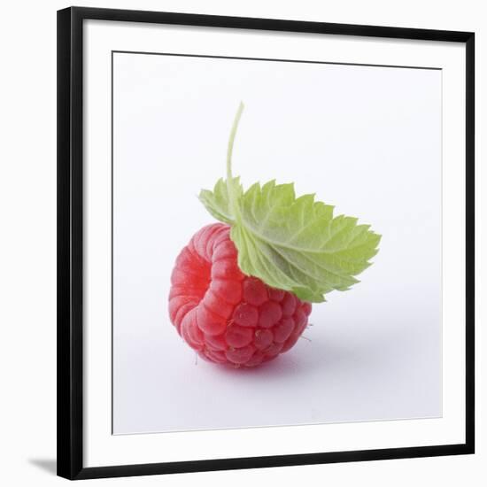 A Raspberry with Leaf (Close-Up)-Steven Wheeler-Framed Photographic Print