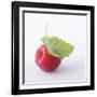 A Raspberry with Leaf (Close-Up)-Steven Wheeler-Framed Photographic Print