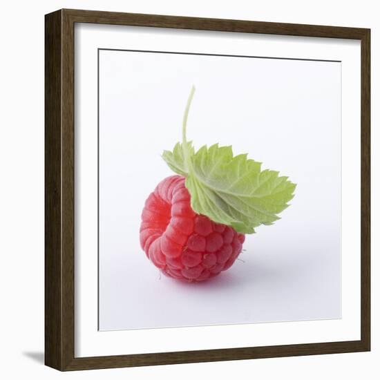 A Raspberry with Leaf (Close-Up)-Steven Wheeler-Framed Photographic Print