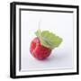 A Raspberry with Leaf (Close-Up)-Steven Wheeler-Framed Photographic Print