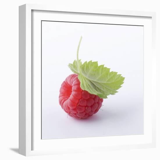 A Raspberry with Leaf (Close-Up)-Steven Wheeler-Framed Photographic Print