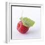 A Raspberry with Leaf (Close-Up)-Steven Wheeler-Framed Photographic Print