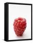 A Raspberry-null-Framed Stretched Canvas