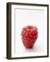 A Raspberry-null-Framed Photographic Print