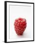 A Raspberry-null-Framed Photographic Print