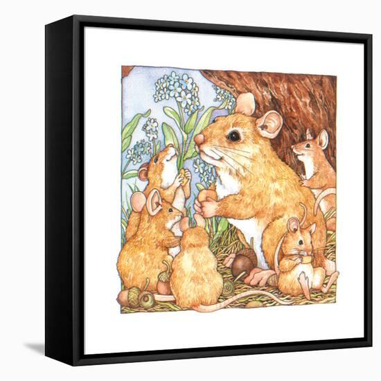 A Rat Family Eating Nuts-Wendy Edelson-Framed Stretched Canvas