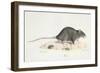 A Rat-Werner-Framed Giclee Print