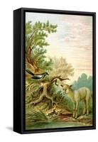 A Raven Looks on as a Lamb Scares a Frpg Who Jumps into the Water-A. Hochstein-Framed Stretched Canvas