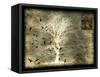 A Raven's World Spirit Tree-LightBoxJournal-Framed Stretched Canvas