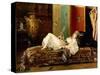 A Reclining Odalisque-Gustave Leonard de Jonghe-Stretched Canvas