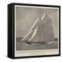 A Record Breaker at Cowes-null-Framed Stretched Canvas